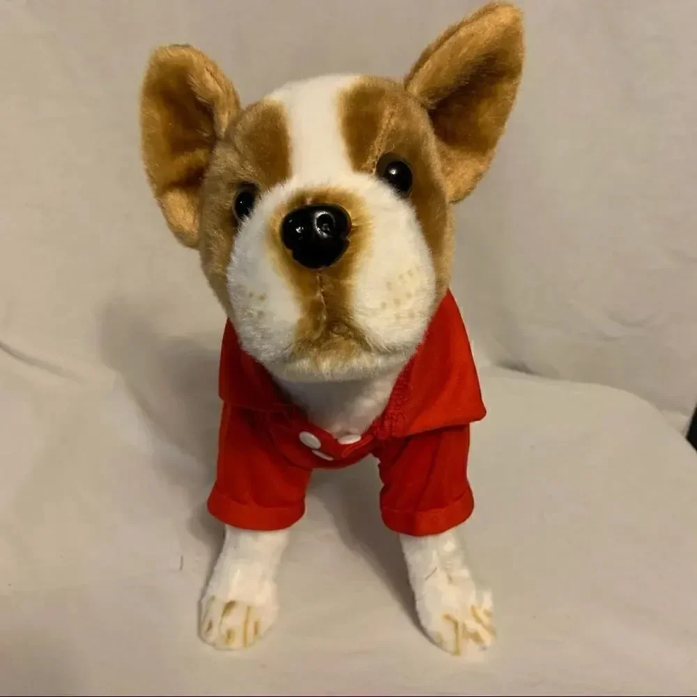 Bundle of Four Doggie Polo Shirts